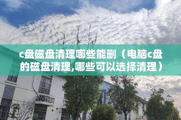 c盘磁盘清理哪些能删（电脑c盘的磁盘清理,哪些可以选择清理）