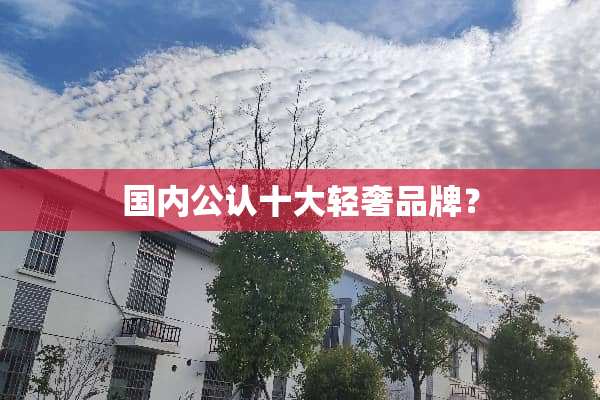 国内公认十大轻奢品牌？
