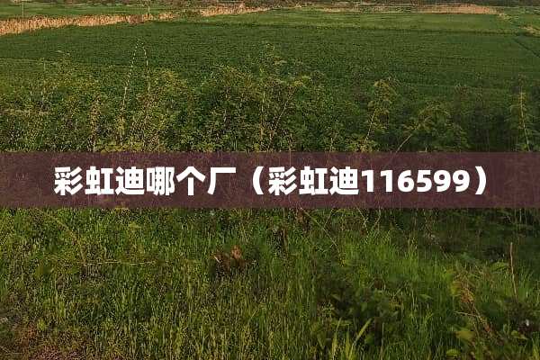 彩虹迪哪个厂（彩虹迪116599）