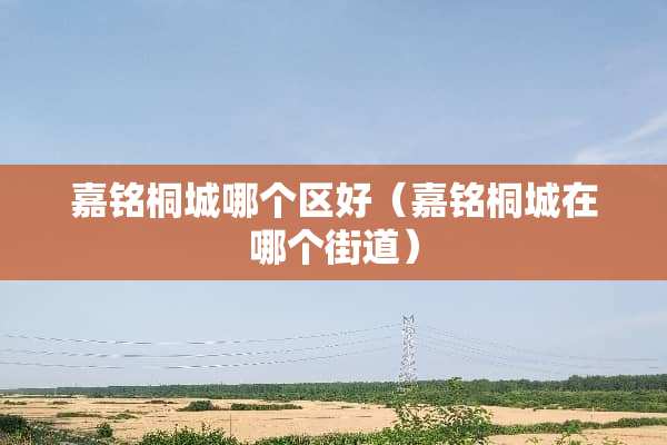 嘉铭桐城哪个区好（嘉铭桐城在哪个街道）
