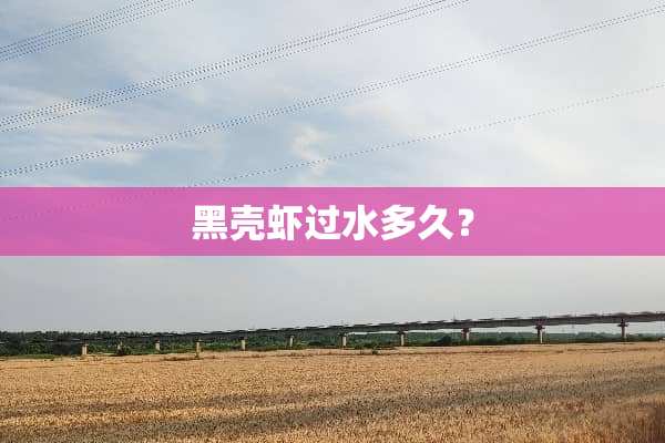 黑壳虾过水多久？