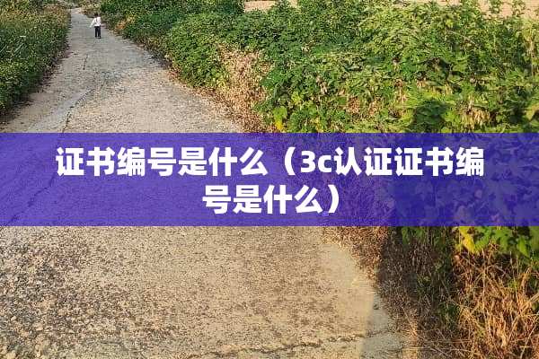 证书编号是什么（3c认证证书编号是什么）