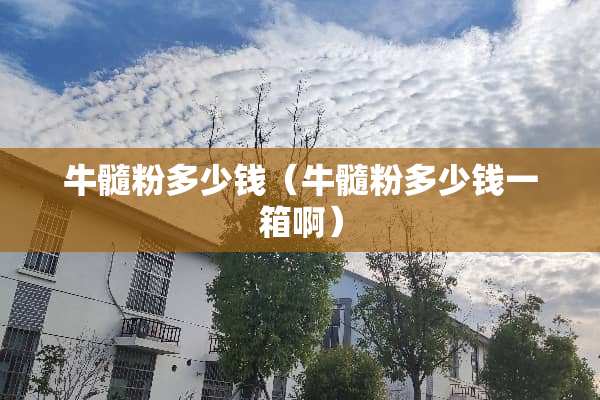 牛髓粉多少钱（牛髓粉多少钱一箱啊）