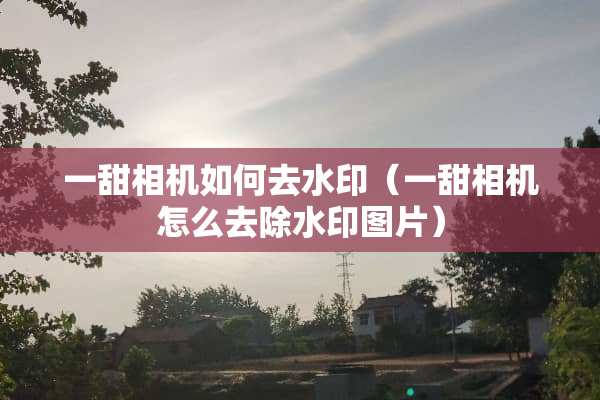 一甜相机如何去水印（一甜相机怎么去除水印图片）