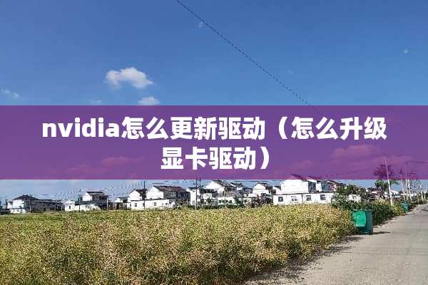 nvidia怎么更新驱动（怎么升级显卡驱动）
