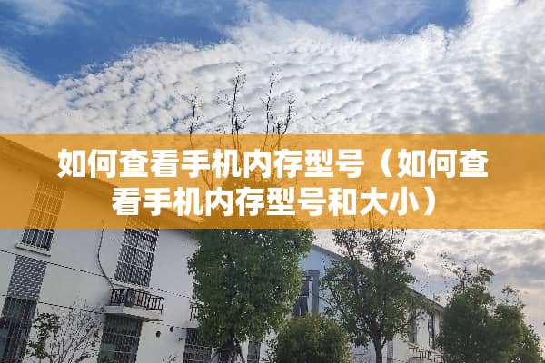 如何查看手机内存型号（如何查看手机内存型号和大小）