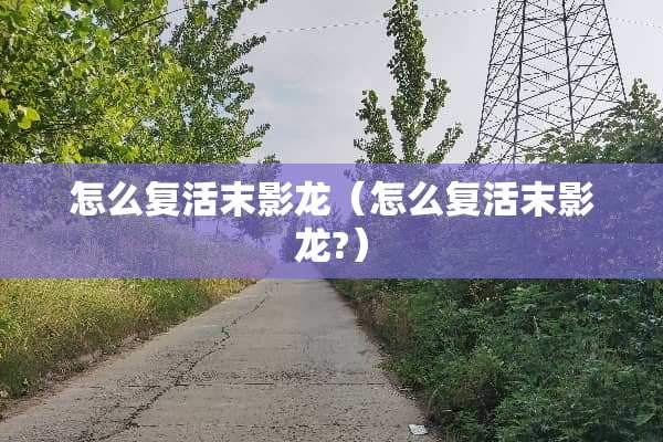 怎么**末影龙（怎么**末影龙?）