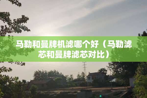 **和曼牌机滤哪个好（**滤芯和曼牌滤芯对比）