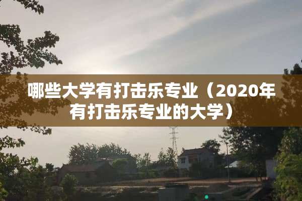 哪些大学有打击乐专业（2020年有打击乐专业的大学）