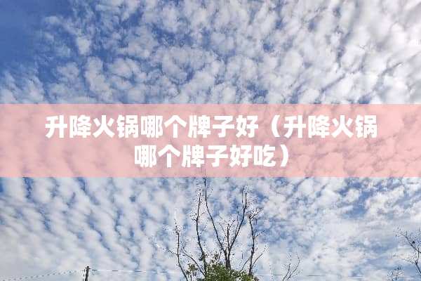 升降火锅哪个牌子好（升降火锅哪个牌子好吃）