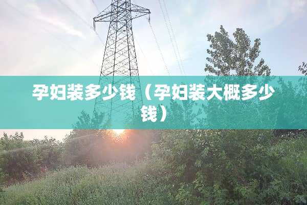 孕妇装多少钱（孕妇装大概多少钱）