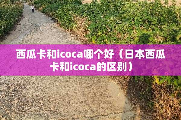 西瓜卡和icoca哪个好（日本西瓜卡和icoca的区别）
