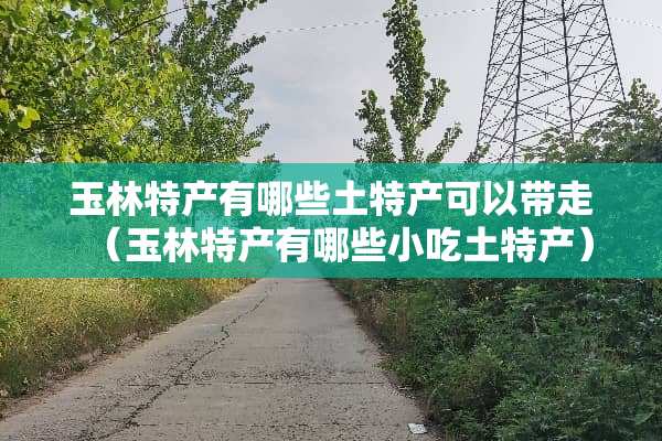 玉林特产有哪些土特产可以带走（玉林特产有哪些小吃土特产）