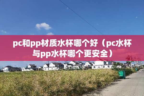 pc和pp材质水杯哪个好（pc水杯与pp水杯哪个更安全）