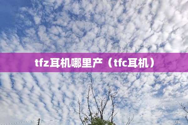 tfz耳机哪里产（tfc耳机）