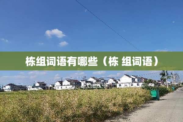 栋组词语有哪些（栋 组词语）