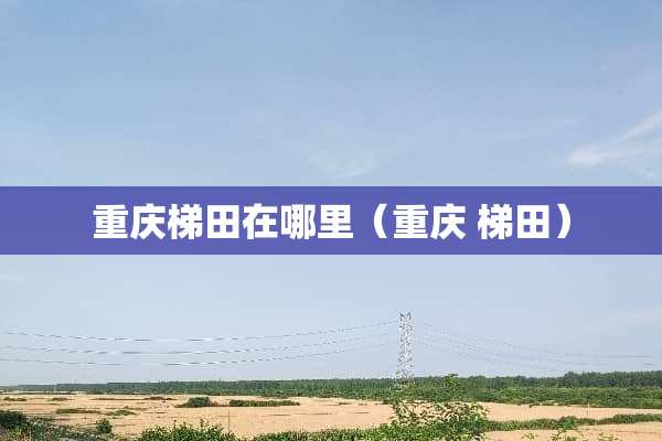 重庆梯田在哪里（重庆 梯田）