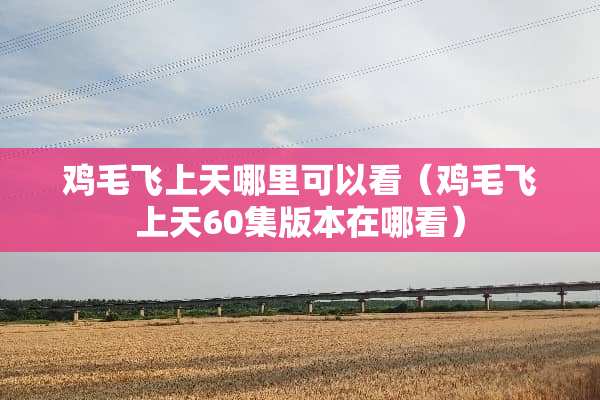 鸡毛飞上天哪里可以看（鸡毛飞上天60集版本在哪看）