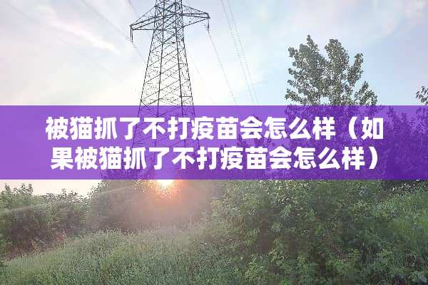 被猫抓了不打**会怎么样（如果被猫抓了不打**会怎么样）
