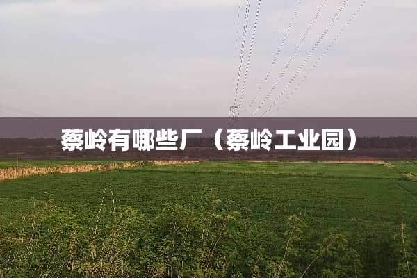 蔡岭有哪些厂（蔡岭工业园）