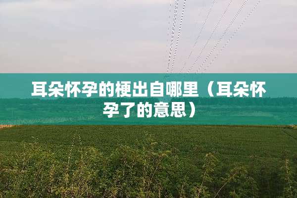 耳朵怀孕的梗出自哪里（耳朵怀孕了的意思）