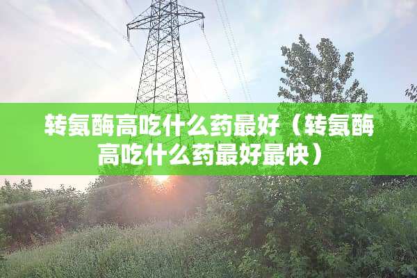 转氨酶高吃什么药最好（转氨酶高吃什么药最好最快）