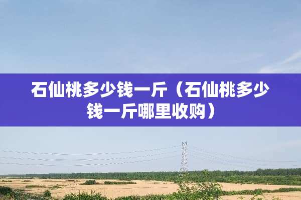 石仙桃多少钱一斤（石仙桃多少钱一斤哪里收购）