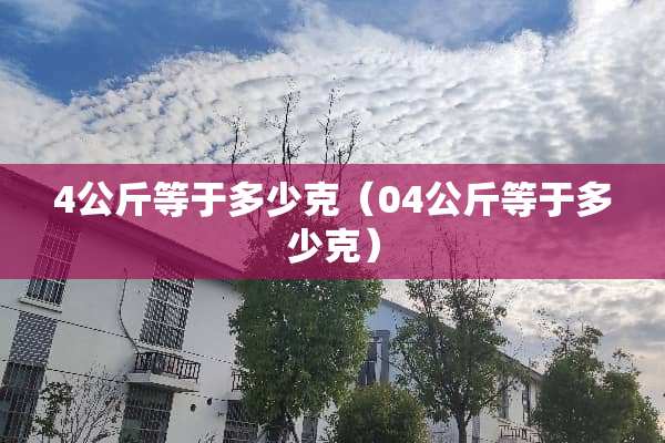 4公斤等于多少克（04公斤等于多少克）