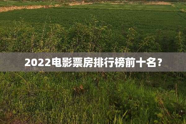 2022电影票房排行榜前十名？