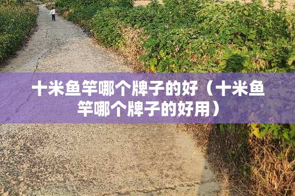 十米鱼竿哪个牌子的好（十米鱼竿哪个牌子的好用）