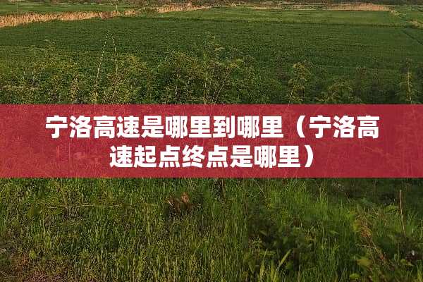 宁洛高速是哪里到哪里（宁洛高速起点终点是哪里）