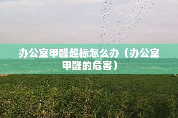 办公室甲醛超标怎么办（办公室甲醛的危害）