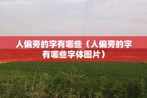 人偏旁的字有哪些（人偏旁的字有哪些字体图片）