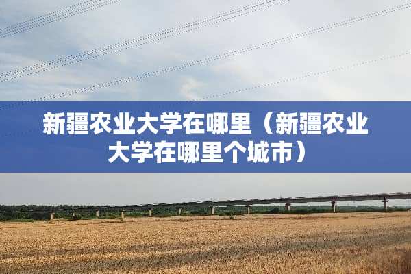 新疆农业大学在哪里（新疆农业大学在哪里个城市）