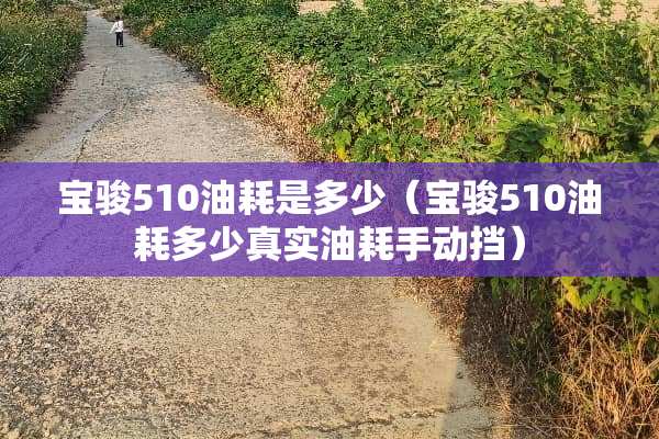 宝骏510油耗是多少（宝骏510油耗多少真实油耗手动挡）