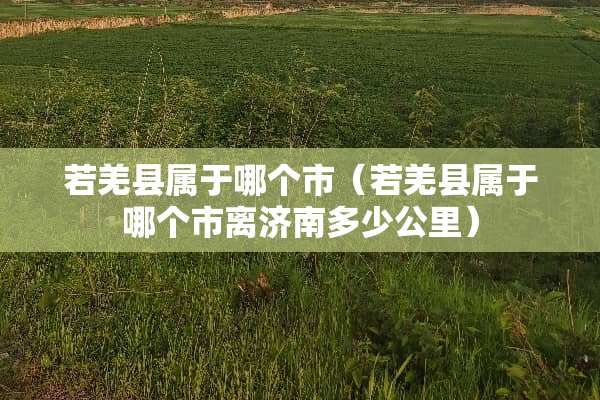 若羌县属于哪个市（若羌县属于哪个市离济南多少公里）