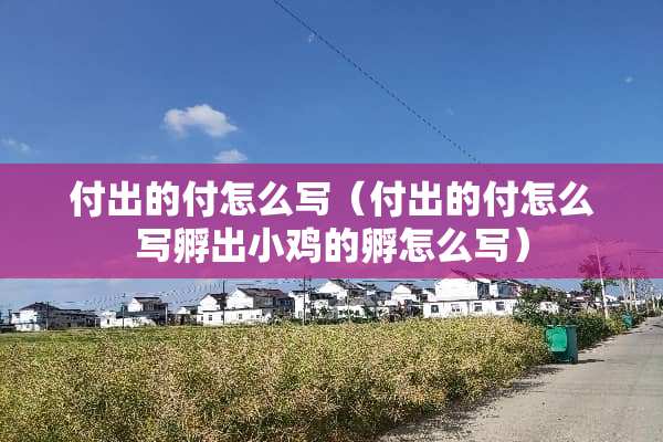 付出的付怎么写（付出的付怎么写孵出小鸡的孵怎么写）