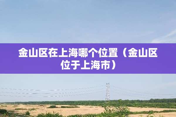 金山区在上海哪个位置（金山区位于上海市）
