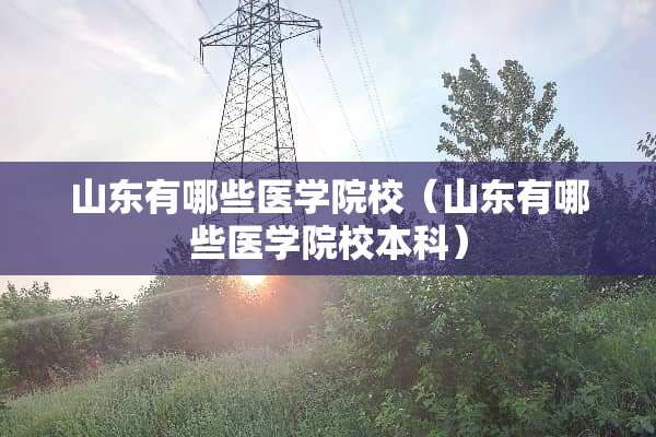 山东有哪些医学院校（山东有哪些医学院校本科）