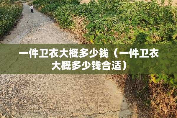 一件卫衣大概多少钱（一件卫衣大概多少钱合适）
