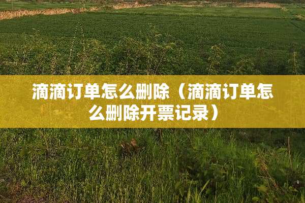 滴滴订单怎么删除（滴滴订单怎么删除**记录）