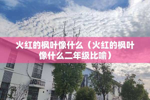 火红的枫叶像什么（火红的枫叶像什么二年级比喻）