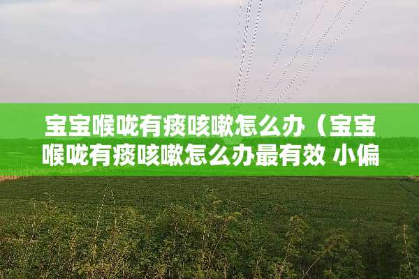 宝宝喉咙有痰咳嗽怎么办（宝宝喉咙有痰咳嗽怎么办最有效 小偏方）