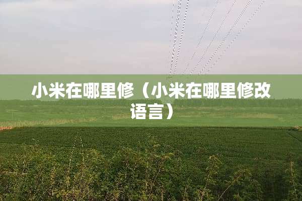 小米在哪里修（小米在哪里修改语言）