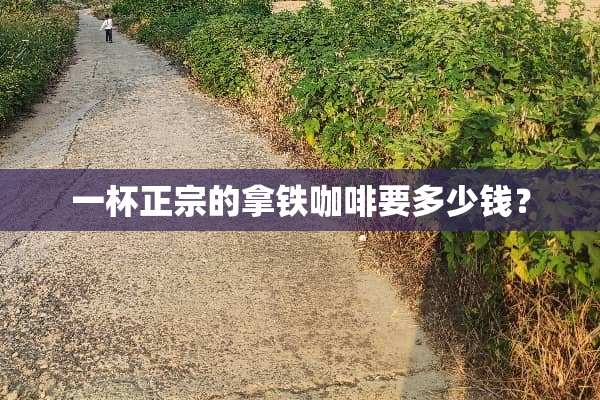 一杯正宗的拿铁咖啡要多少钱？