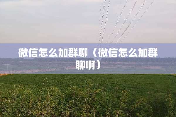 微信怎么加群聊（微信怎么加群聊啊）