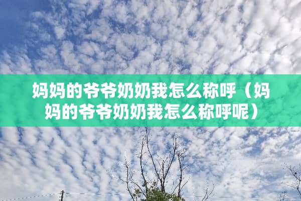 ***爷爷奶奶我怎么称呼（***爷爷奶奶我怎么称呼呢）
