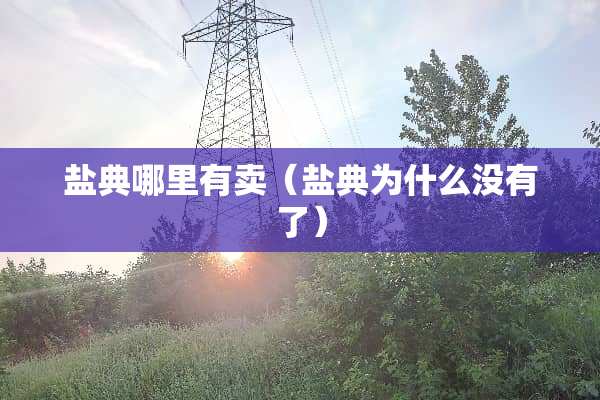 盐典哪里有卖（盐典为什么没有了）