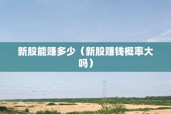 新股能赚多少（新股赚钱概率大吗）