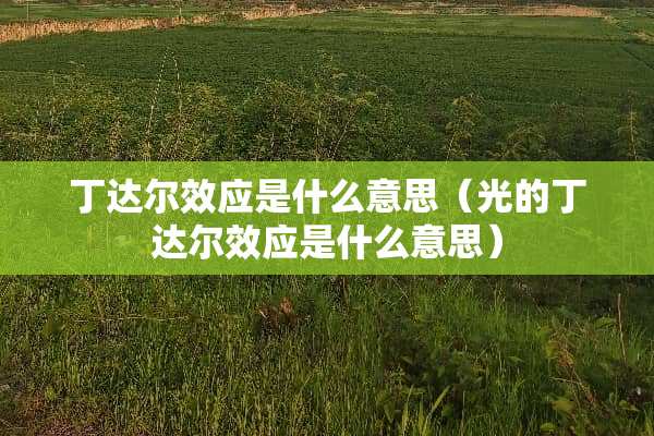 丁达尔效应是什么意思（光的丁达尔效应是什么意思）